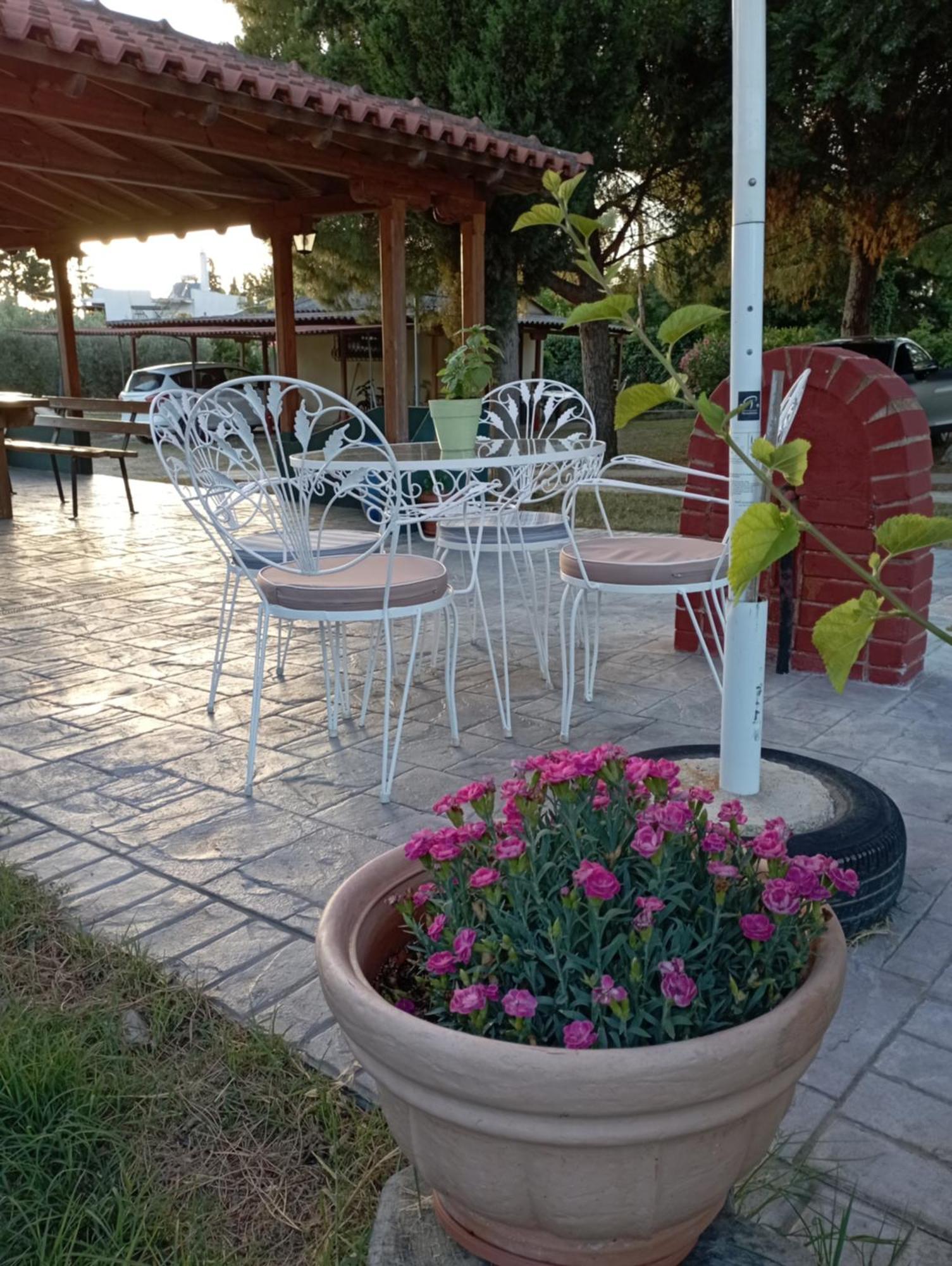 Olive Mare Holidays Nea Iraklia Exterior photo